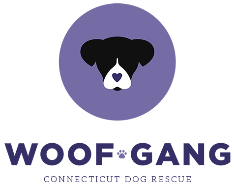 About - The Woof Gang